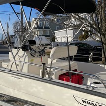 Boston Whaler 150 Montauk