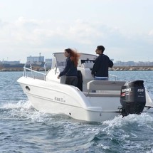 Brava 22 WA