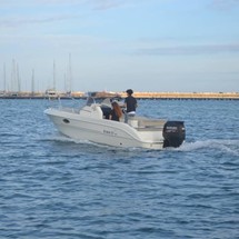Brava 22 WA