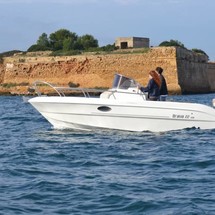 Brava 22 WA