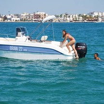 Brava 22 WA