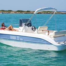 Brava 22 WA