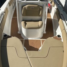 Sea Ray hunt ultra 211