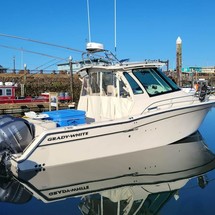 Grady-White Express 330