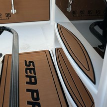 Sea Ray pro 208 bay