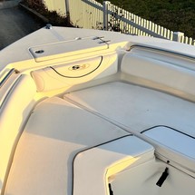 Sea Ray hunt ultra 211