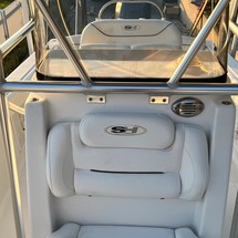 Sea Ray hunt ultra 211