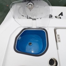 Sea Ray cat 26