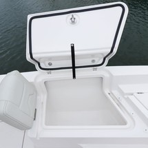 Sea Ray cat 26