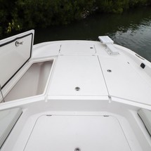 Sea Ray cat 26