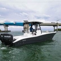 Sea Ray cat 26