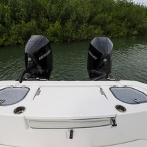 Sea Ray cat 26