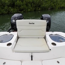 Sea Ray cat 26