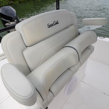 Sea Ray cat 26