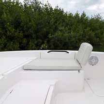 Sea Ray cat 26