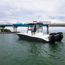 Sea Ray cat 26