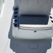 Yellowfin 24