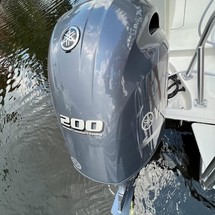 World cat 250 dc