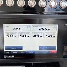World cat 250 dc