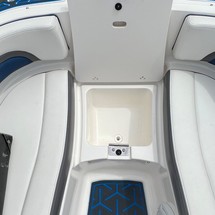 Chaparral 243 Vortex VRX
