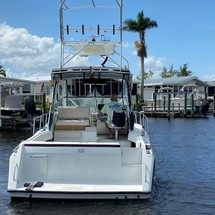 Stamas 290 express