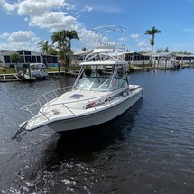 Stamas 290 express