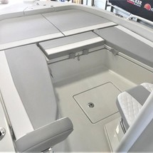 Ranger boats 2400 bay