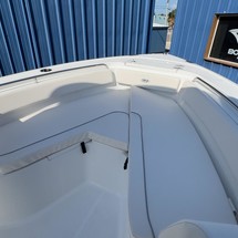 Sea Ray hunt ultra 211