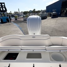 Sea Ray hunt ultra 211