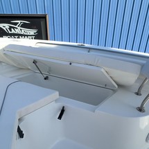 Sea Ray hunt ultra 211