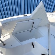 Sea Ray hunt ultra 211