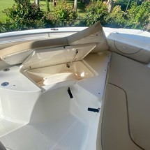Sea Ray hunt ultra 211