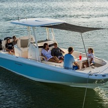 Boston Whaler 270 Dauntless