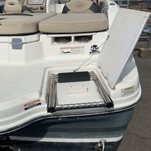 Chaparral 19 H2O Ski & Fish