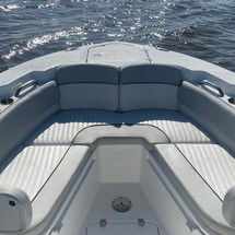 248 Sea Fox Commander