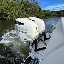 Pro-line 2950 mid cabin