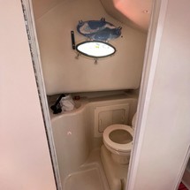 Pro-line 2950 mid cabin