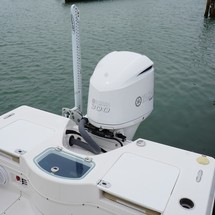 Everglades 243 cc