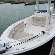 Everglades 243 cc