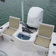 Everglades 243 cc
