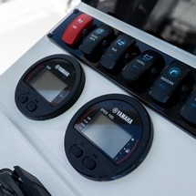 Sea Ray hunt ultra 211