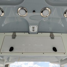 Sea Ray hunt ultra 211