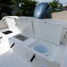 Sea Ray hunt ultra 211