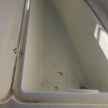 Aquasport 245 osprey