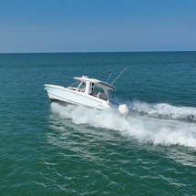 Boston Whaler 350 Realm