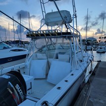 Pursuit 2800 open