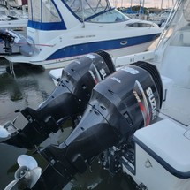 Pursuit 2800 open