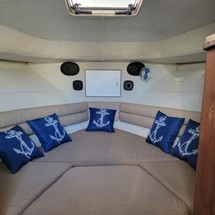 Pursuit 2800 open