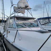 Pursuit 2800 open