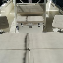 Boston Whaler 210 Montauk